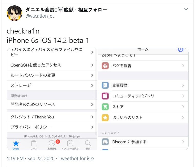 iOS 14.2 jailbreak successfull