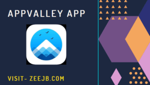 appvally iOS 14.3