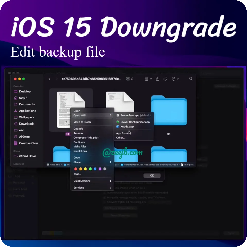 Edit backup file to further restoration process, iOS 15 downgrade in to iOS 14