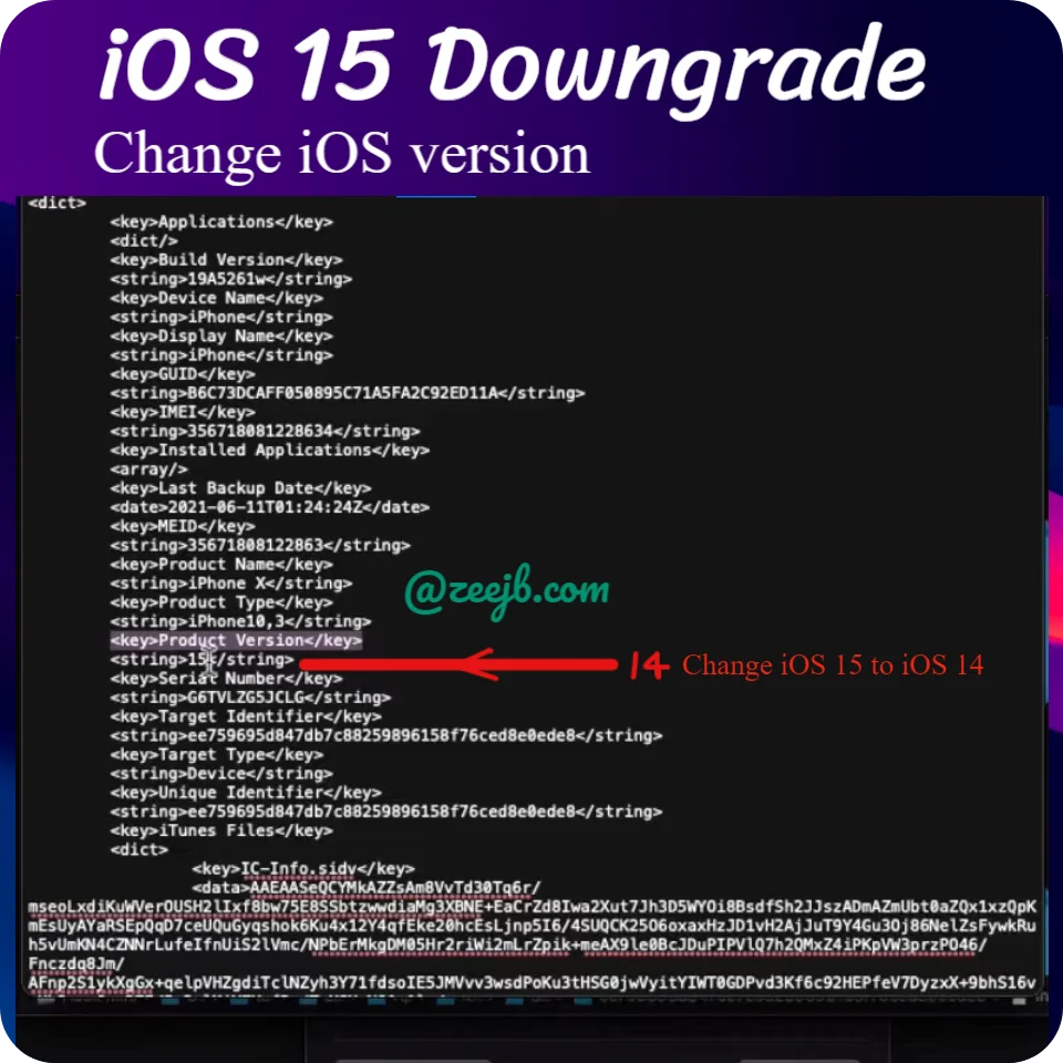 iOS 15 Downgrade change plist 