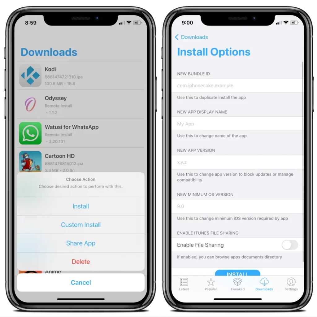 Appcake iOS app - You also have the option to reinstall programs while changing their application data. For example, you have the ability to edit the app's Bundle ID, App Display Name, Version, Supported Minimum OS version, and File sharing option.
